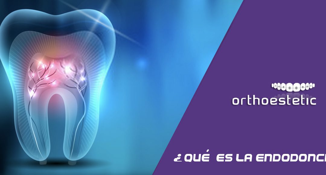 ¿Qué es la endodoncia?